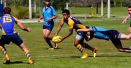 Ave Mary Papist Rugby 6