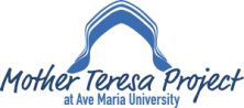 mother teresa project